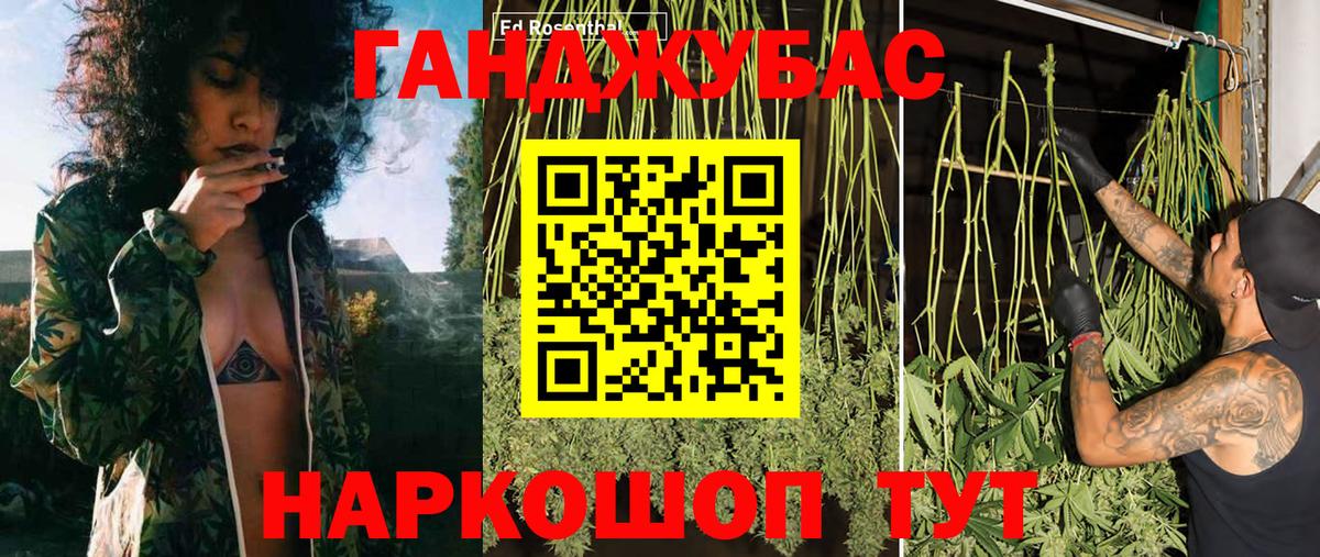 Долгопрудный  Канабис семена  Конопля OG Kush  Каннабис семена  Вход с VPN 
